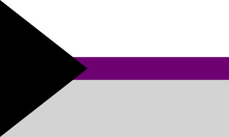 Demisexuality flag